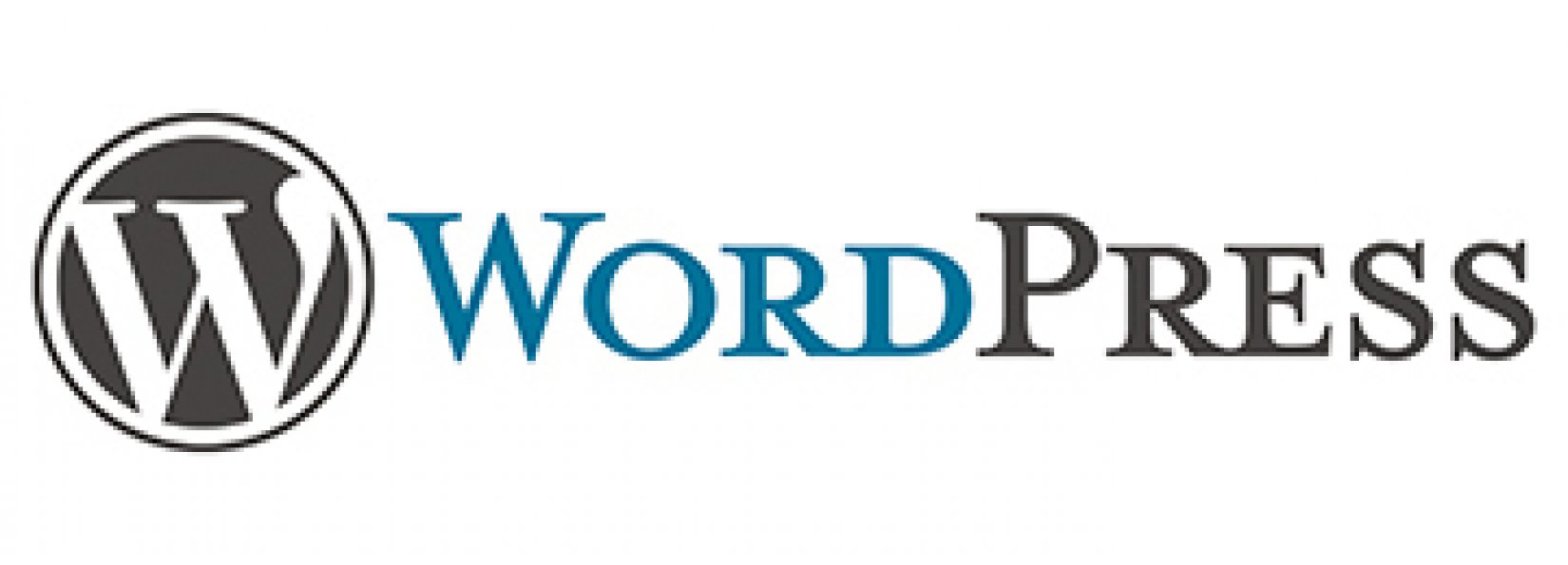 Agentur WordPress