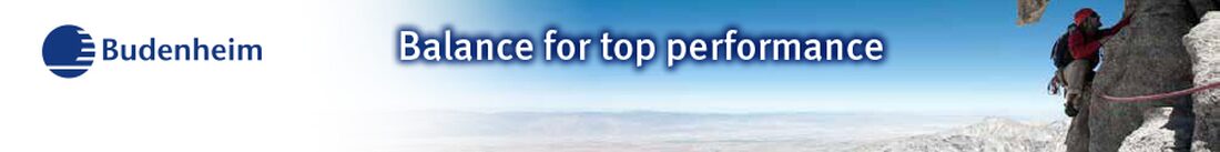 Schaltung Agentur Online Anzeigen