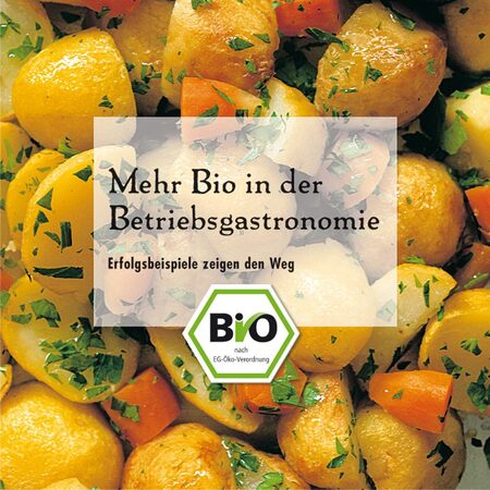 Marketingagentur Werbekampagnen