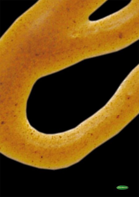 Food Lebensmittel - Soßen Plakate Imageanzeigen