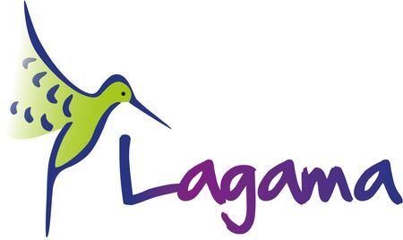 Logogestaltung Pflege