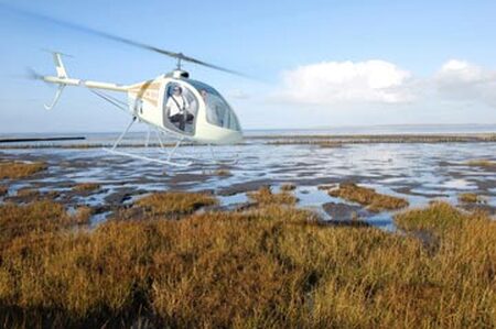 Professionelle Visualisierungen