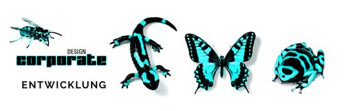 corporate design agentur frankfurt entwicklung