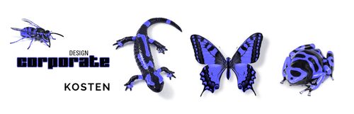 corporate design agentur frankfurt kosten