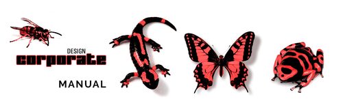 corporate design agentur frankfurt