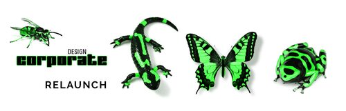 corporate design agentur frankfurt relaunch