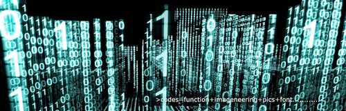 Webprogrammierung App Entwicklung