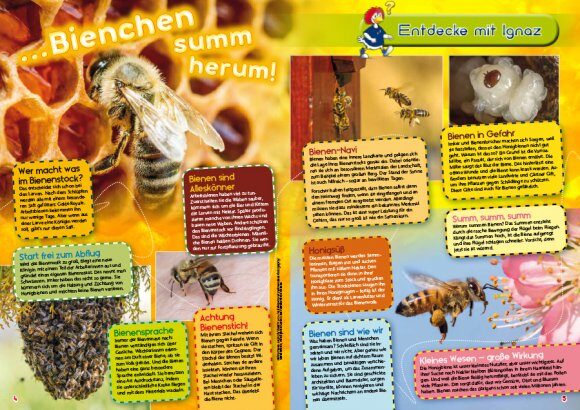 Agentur-Kinder-Zeitungen-Gestaltung.