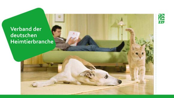 Firmenpräsentation erstellen