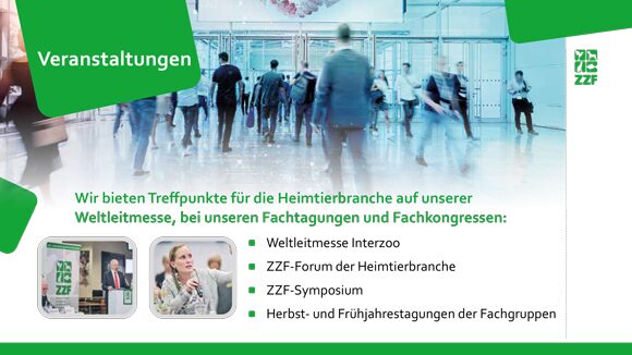 Grafikdesign Agentur Power Point