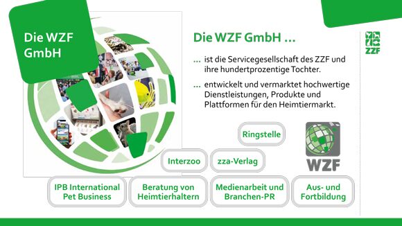 Grafikdesign Power Point