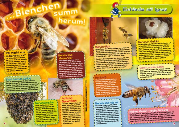 Kinderzeitschrift Gestaltung